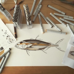 Dessin. © Teuthis Dessin. © Teuthis