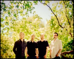 Dans les arbres. © Andreas Ulvo