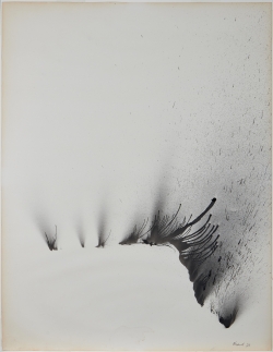 Albert FERAUD (1921-2008), Sans titre, 1976, encre de chine appliquée à la seringue hypodermique sur papier, 65 x 50 cm. Le Havre Musée d’art moderne André Malraux. MuMa Le Havre / Laurent Lachèvre © Adagp, Paris 2023