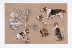 Georges-Frédéric RÖTIG (1873-1961), Études du chien appartenant au président Félix Faure, 1895, aquarelle et crayon sur papier, 32,4 x 50 cm. Le Havre - Musée d'art moderne André Malraux
