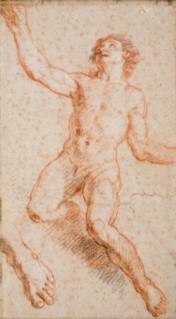 Charles DE LA FOSSE (1636-1716), Etude pour Saint Jean l’Evangéliste, sanguine, 41,5 x 23 cm. MuMa Le Havre. © MuMa Le Havre / Florian Kleinefenn