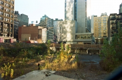 Sabine MEIER (1964), The forbidden garden, série « Portrait of a man », 2011-2014, photographie. © Sabine Meier