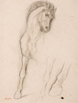Edgar DEGAS (1834-1917), Cheval. Etude pour Alexandre et Bucéphale, 1859-1861, crayon noir, 31,25 x 22,75 cm. Collection Senn-Foulds. © MuMa Le Havre / Florian Kleinefenn Edgar DEGAS (1834-1917), Cheval. Etude pour Alexandre et Bucéphale, 1859-1861, crayon noir, 31,25 x 22,75 cm. Collection Senn-Foulds. © MuMa Le Havre / Florian Kleinefenn