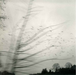 Bernard PLOSSU (1945), Vitré, France, 1991, tirage argentique, 24 x 30 cm. Collection de l’artiste © Bernard Plossu