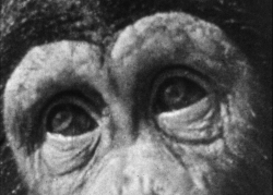 Last Lost (Eve Heller 1996), courtesy Light Cone