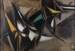 Reynold ARNOULD (1919-1980), Forer 1, 1956, huile sur toile, 100 x 148,7 cm. Le Havre, musée d'art moderne André Malraux, achat de la Ville, 1960. © 2015 MuMa Le Havre / Charles Maslard