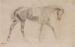 Edgar DEGAS (1834-1917), Cheval de selle, ca. 1862, graphite sur papier calque, 17,8 x 28,1 cm. © MuMa Le Havre / Florian Kleinefenn